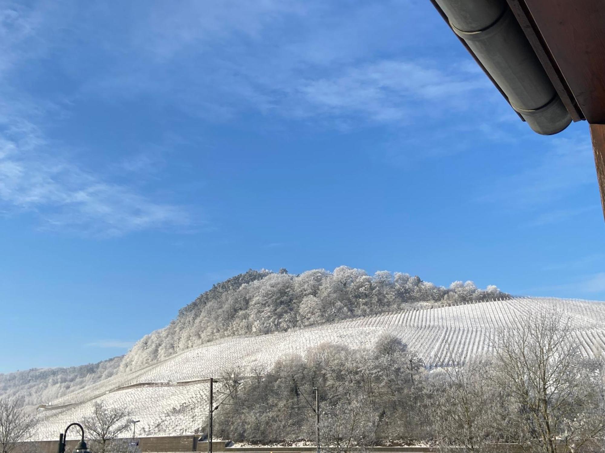 Gastehaus Und Weingut Bernd Frieden Hotel Nittel Luaran gambar