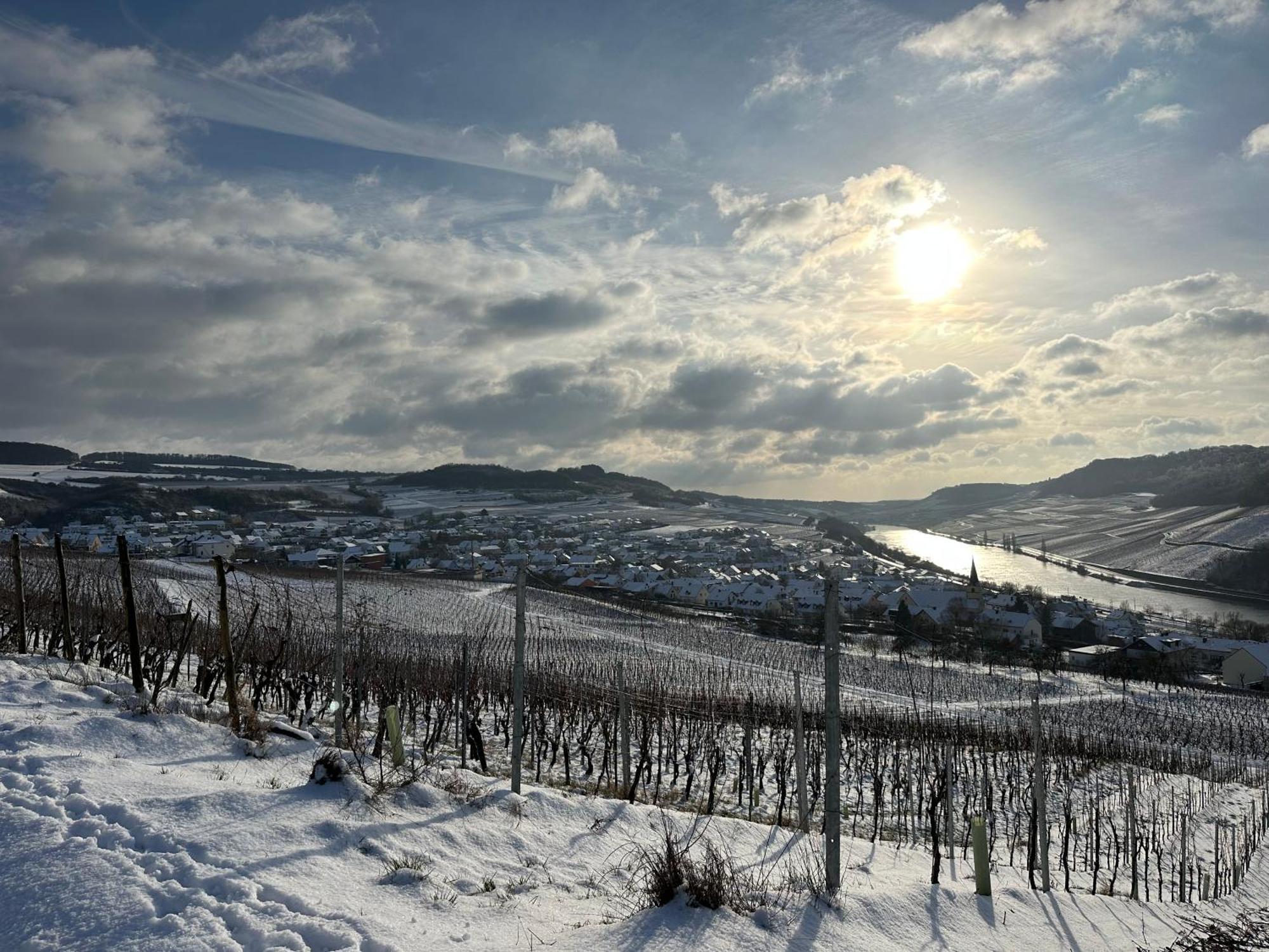 Gastehaus Und Weingut Bernd Frieden Hotel Nittel Luaran gambar