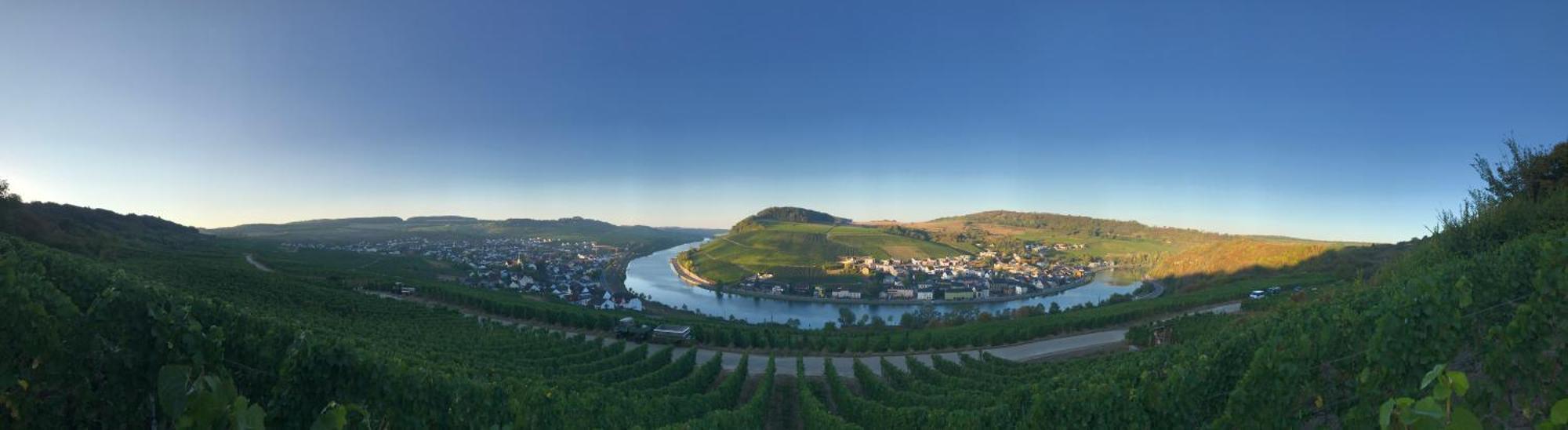 Gaestehaus Und Weingut Bernd Frieden Nittel Luaran gambar