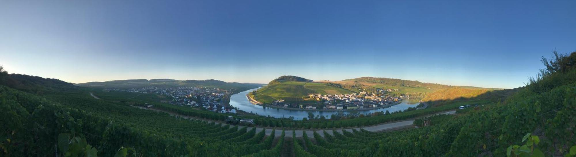 Gastehaus Und Weingut Bernd Frieden Hotel Nittel Luaran gambar