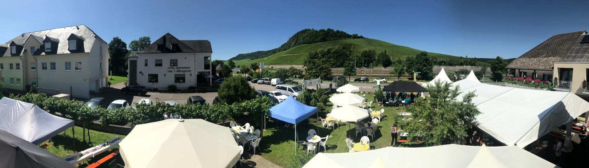 Gastehaus Und Weingut Bernd Frieden Hotel Nittel Luaran gambar