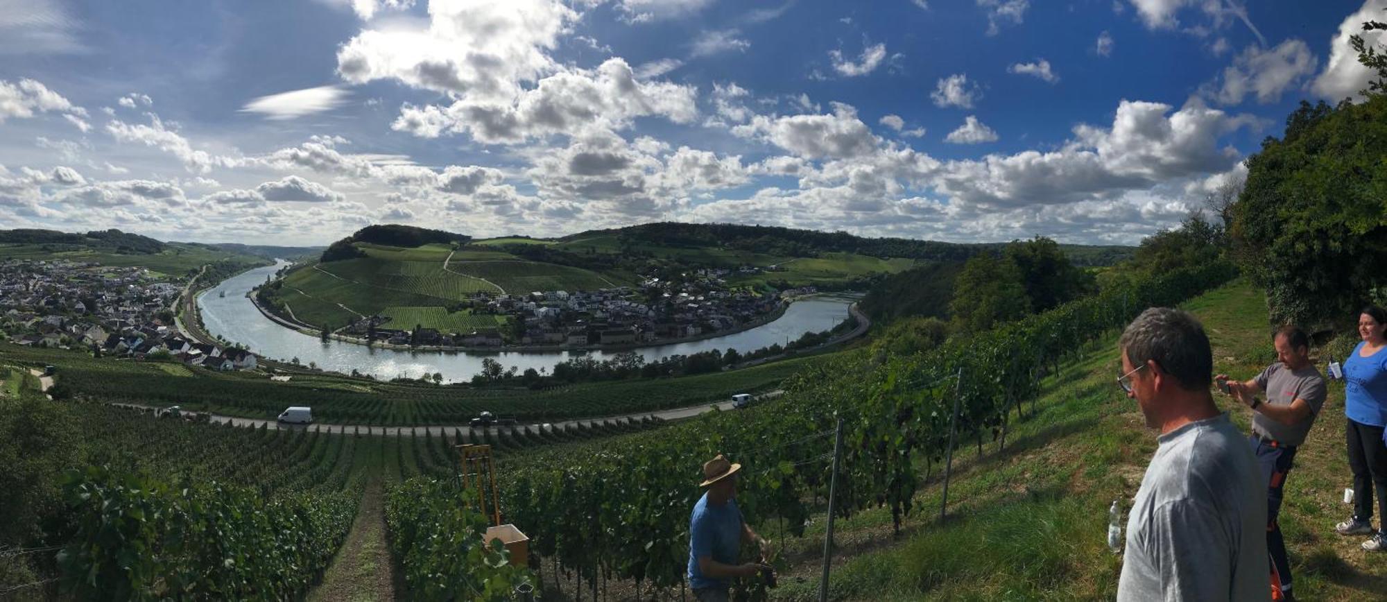 Gastehaus Und Weingut Bernd Frieden Hotel Nittel Luaran gambar