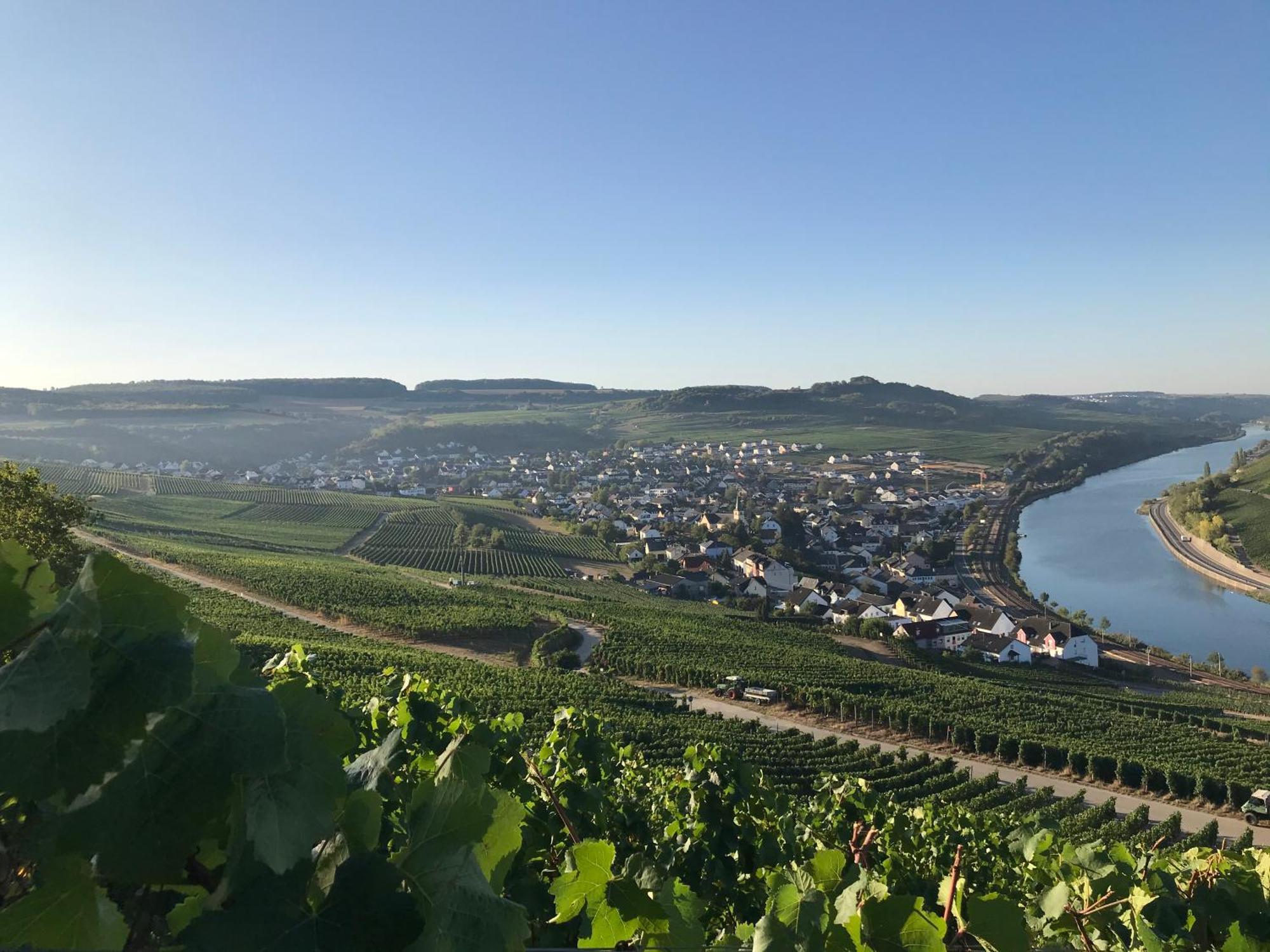 Gastehaus Und Weingut Bernd Frieden Hotel Nittel Luaran gambar