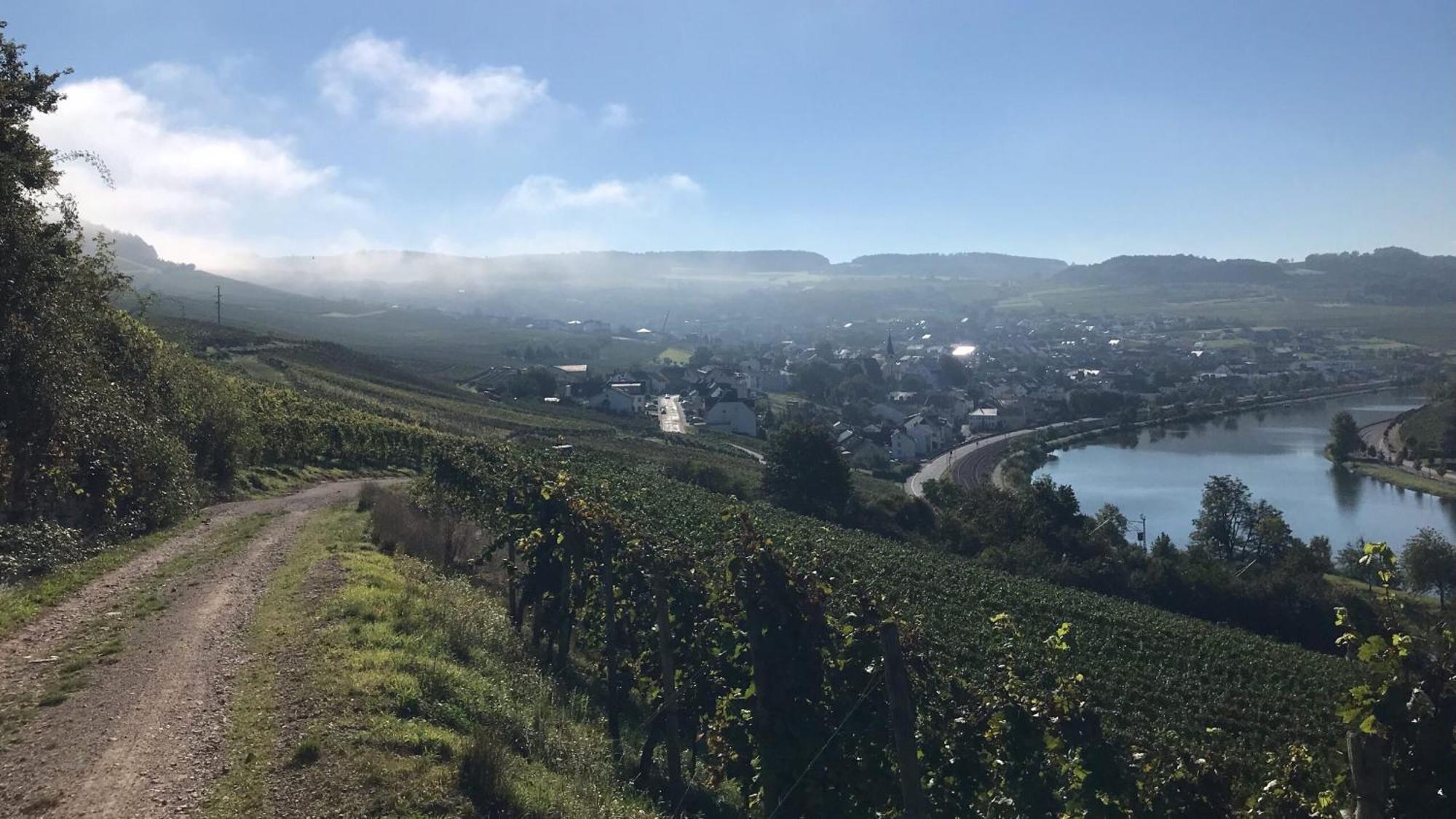 Gastehaus Und Weingut Bernd Frieden Hotel Nittel Luaran gambar