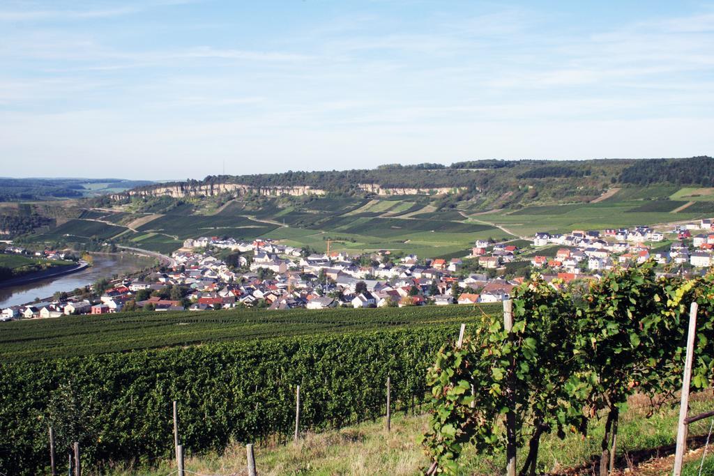 Gastehaus Und Weingut Bernd Frieden Hotel Nittel Luaran gambar