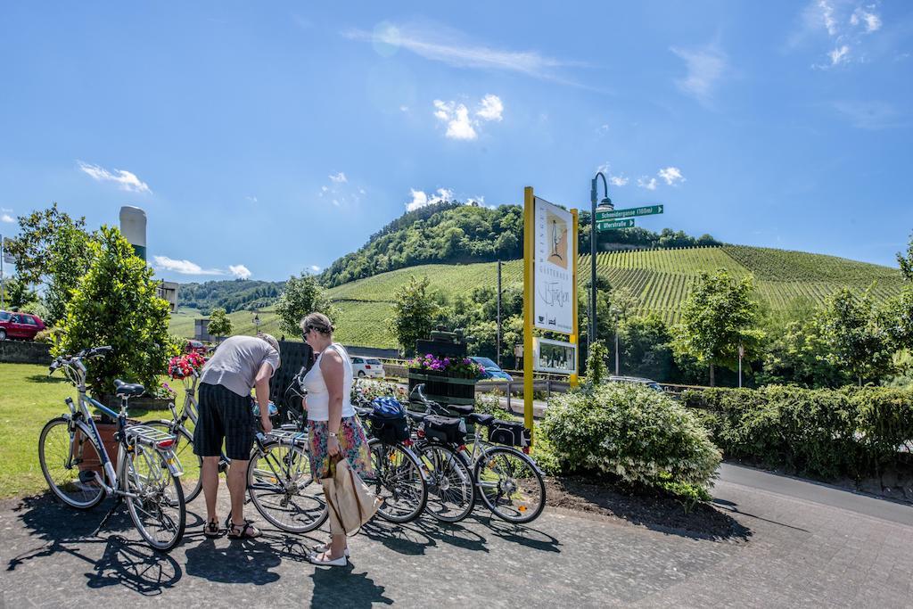 Gastehaus Und Weingut Bernd Frieden Hotel Nittel Bilik gambar